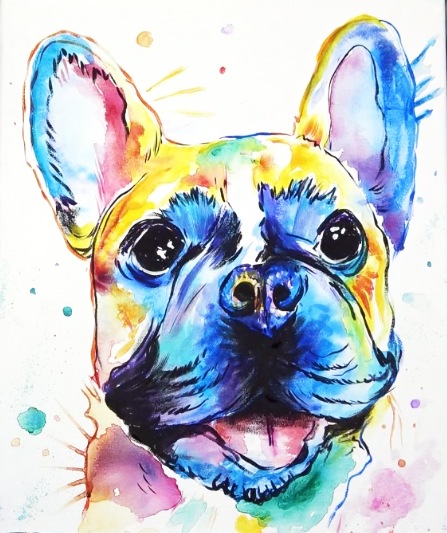 Színes bulldog festés borító