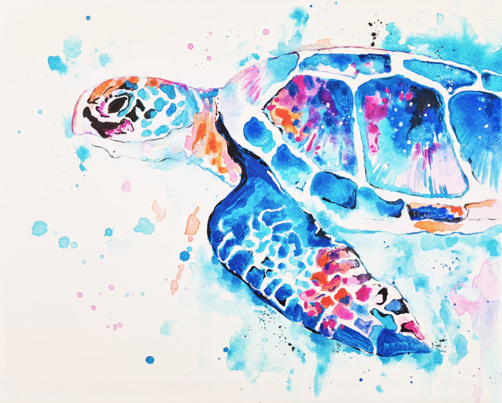 Színes teknős festés borító